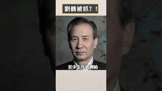 習近平抓劉鶴，有這個可能嗎？｜新聞拍案驚奇 大宇 #shorts #劉鶴 #習近平