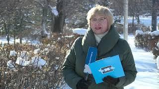Морозы в Хабаровске // Погода в Хабаровске на выходные дни
