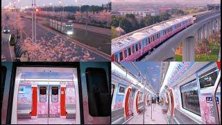 The Enchanting Cherry Blossom Special Train in China