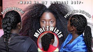 Behind The Scenes Of Natural Hair Growth Routine | Braided Ponytail ,Protective style & Mini twists