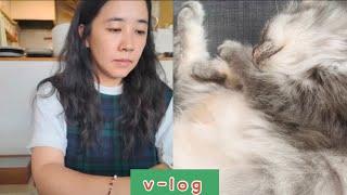 #vlog l 쉬어가는 날, 시간의 기록 ㅣ 휴일출근ㅣ 페이버커피 케이크  ㅣ 오즈가 반응하는 말은?! ㅣ 원중언니 쿠션자랑하기