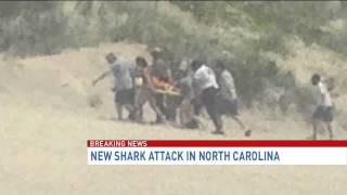 Seventh shark attack off coast of NC