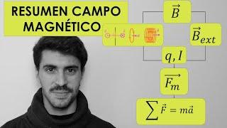 Campo Magnético y Magnetismo de Física 2 Bachillerato Resumen Completo Para Sacar el 10 | FísicaPRO