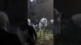 Rdr2, Horse Comparison
