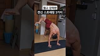 시간 없을 때 최고의 선택!! #스콜피온 #사이드킥