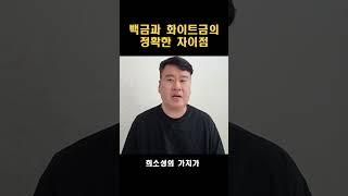 백금과 화이트금 정확한 차이점