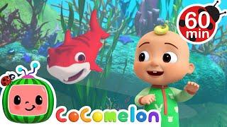 Baby Shark - Colors | CoComelon Animal Time | Animal Nursery Rhymes