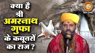 क्या  है श्री अमरनाथ गुफा के कबूतरों का राज़ ?  Shri Amarnath Ji | Baba Barfani