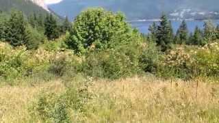 Land for sale 40 Acres Salmon Arm, BC