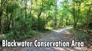 Blackwater Conservation Area - Central, Louisiana | DJI Pocket 3 | GoPro 12 | Nature Hike