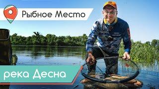 СУПЕР КЛЕВ ЛЕЩА на Десне. Ловля на фидер в кайф! Рыбное место.