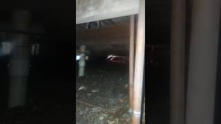 What's underneath this house #subscribemychannel #fypシ゚#electricalwire