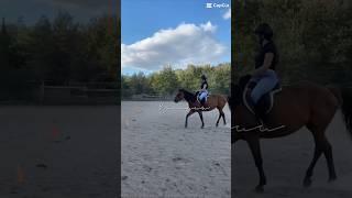 I made a better vid for your comp @harls-5-equines ! And sorry I haven’t posted in a while!