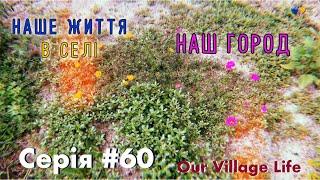 Наш город | Серія #60 | Наше життя в селі