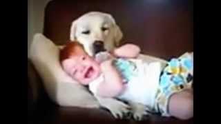 L'amore per gli animali