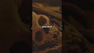 #Ancient Burial Site Unearthed Beneath UK Car Park: Stunning Discovery! archaeology #history #shorts