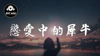 任然 《恋爱中的犀牛/戀愛中的犀牛》『常年在陸地行走』 動態歌詞