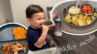 What my Toddler Eats in a Day! | Easy Meals for Toddlers 