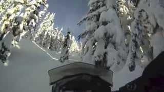 skidoo xm tree riding