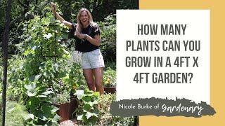 How Many Plants Can You Grow in a 4ft x 4ft Garden?