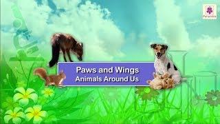 Paws and Wings - Animals Around Us | Science Grade 1 | Periwinkle