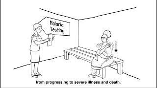 Malaria diagnosis: Addressing the issue of HRP2 gene deletions (UPDATED VERSION)