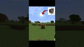 Minecraft meme