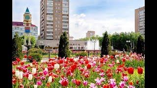 «Во имя завтрашнего дня твоя история, Подольск!» (2017 г.)