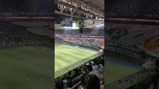 Palmeiras x Coritiba - Brasileirão 2023