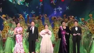 2011 Chinese New Year Gala【Year of Rabbit】歌曲 《难忘今宵》 李谷一丨CCTV