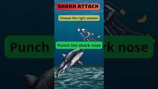  Surviving a Shark Attack: Can You Choose the Right Option?  #sharks  #quiz #animalsvideo