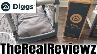 Diggs Pillo Dog Bed vs Snooz | COUPON