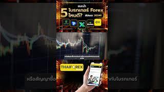 แนะนำโบรกเกอร์ Forex ไหนดี? ปี 2024