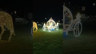 Peschiera del Garda - Luminarie Natale 2024 (terza parte)