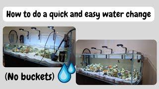 How to do a quick and easy water change on a big fish tank