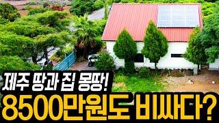 제주 전원주택~ 정말 싼 집!! 싸게나온이유는 영상에서 확인 해 주세요!!