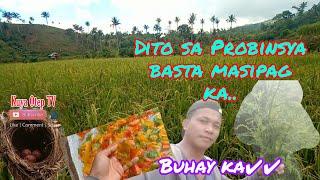 Buhay Probinsya 1080p