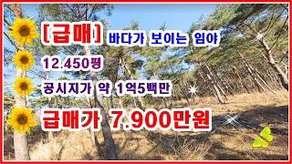 [급매] 바다가 보이는 임야 12.450평 공시지가 1억5백 매매가 7900만원 이 지역에 이런금액 다시 없습니다  100%