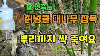 잘안죽는 칡넝쿨 대나무 잡목 쉽게 제거하는 방법 뿌리까지 싹 죽어요 #대나무제거 #칡넝쿨제거