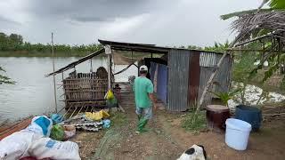 My daily life at the fish farm with the lovely owner Fishing. Fish farming technology using weeds"Cá