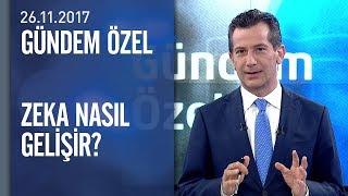 Zeka nasıl geliştirilir? - Gündem Özel 26.11.2017 Pazar