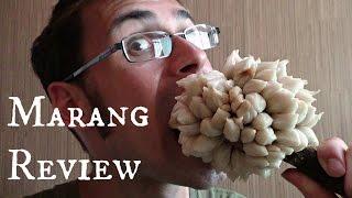 Marang Fruit Review - Weird Fruit Explorer in the Philippines - Ep 85