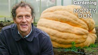 The Biggest Pumpkin EVER?  | FULL EPISODE | S7E22 | Gardener's World