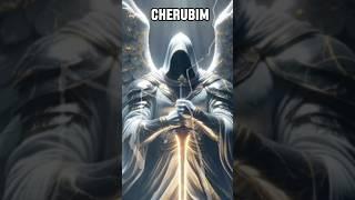 The Real Story of Angels | Cherubim | Seraphim #angel #revelation #shorts