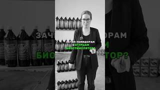 Что нужно для повышения урожайности и качества плодов