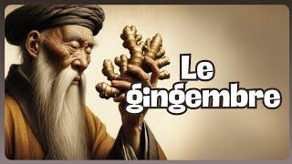 L'histoire à table - Le gingembre #gingembre