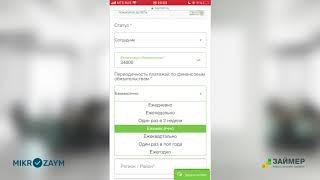 Как оформить займ в компании Займер? Видео инструкция по заполнению заявки
