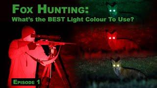 What's the BEST Light Colour for Fox Hunting?