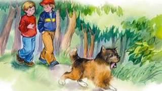 Ярослав Стельмах "Митькозавр з Юрківки, або Химера лісового озера" (Частина І з ІІІ)
