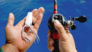 Saltwater Bass Tackle Fishing Challenge